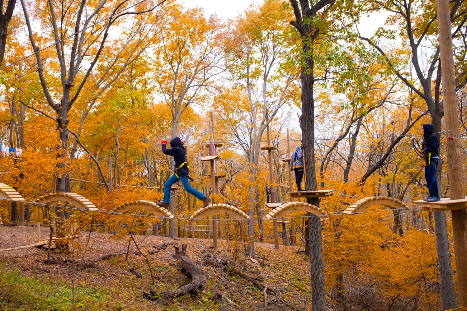 TreeTrails Adventures, Trevose, Philadelphia